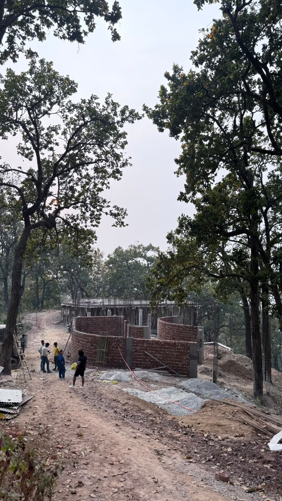Forest 11 Nainital